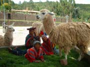 Diario de la Expedicion a Machupichu